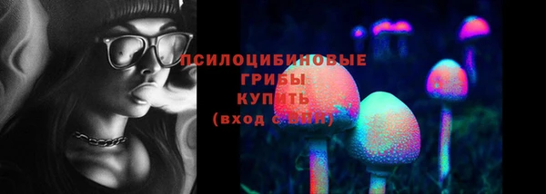 амф Бугульма