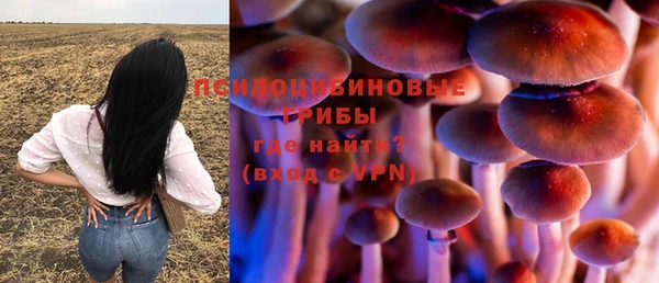 героин Бородино